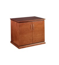 Mendocino 2-Door Storage Cabinet