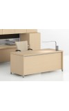 Morpheo 36 and  Rectangular Executive Desk Shell