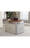 RiZe Series 60 and  L-Shaped Reception Station