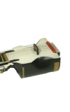 Dilruba with Bow/Case