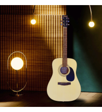 Berkeley Dreadnought OP Acoustic Guitar