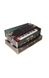 Paul &amp; Co. 3 Reed 9 Scale Change Fold Up Harmonium