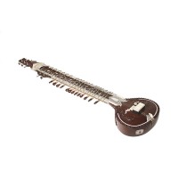 Musician's Mall Fusion Travel Sitar