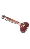 Hiren Roy Sitar Vilayat Khan style