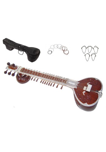 Kanai Lal & Sons Sitar #2