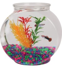 1/2 Gal Flat Sided Fish Bowl