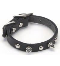 1703Sk Mini Spike Collar