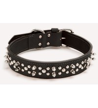 1709K Double Spike Collar