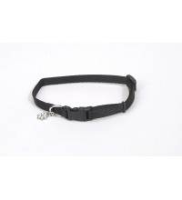 221 5/16andquot; Lil Pals Collar- Black