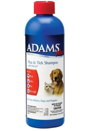 Adams Plus Fandamp;T Shmp W/Igr 12Oz