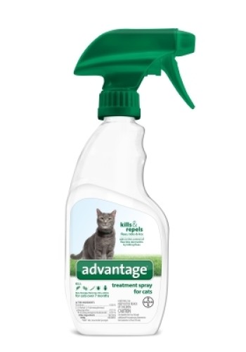 Advantage F/T Shampoo Cat