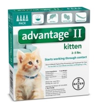 Advantage Ii Kitten