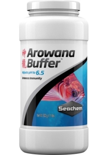 Arowana Buffer Freshwater