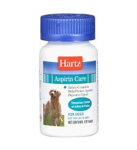 Aspirin Dog