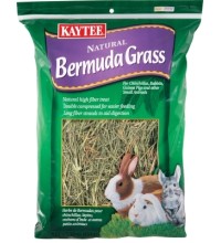 Bermuda Grass 16Oz