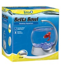 Betta Bowl