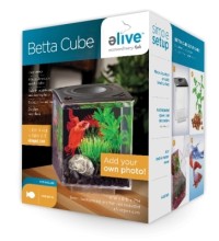 Betta Cube Acrylic