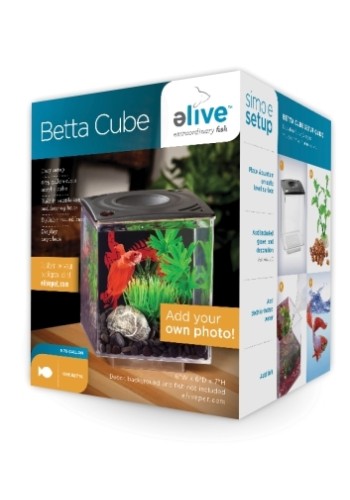 Betta Cube Acrylic