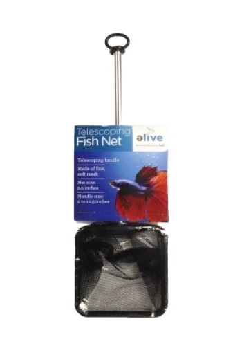 Betta Net