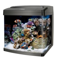 Bio Cube Aquarium Size 14