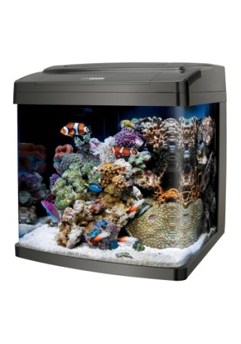 Bio Cube Aquarium Size 14