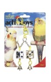 Bird Activitoy Dice Toy