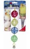 Bird Activitoy Lattice Chain