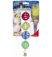 Bird Activitoy Lattice Chain