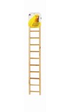 Birdie Basic 11 Step Ladder