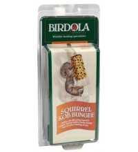 Birdola Squirrel Kob Bungee