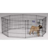 Black Exercise Pen