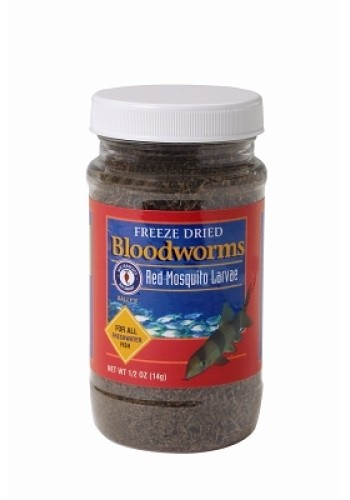 Bloodworms Freeze Dried