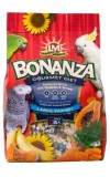 Bonanza Large Parrot