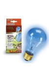 Bulb Day Blue Inc 50W Boxed