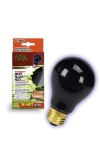 Bulb Night Black Inc 50W Boxed