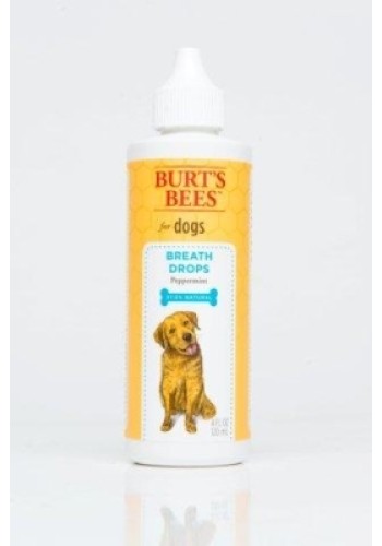 Burts Bees Breath Drops