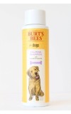 Burts Bees Calming Shampoo