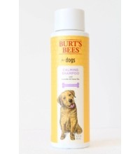 Burts Bees Calming Shampoo