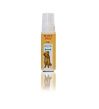 Burts Bees Dental Foam