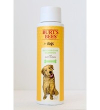 Burts Bees Deodorizing Shampoo