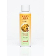 Burts Bees Hot Spot Shampoo