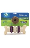 Busy Buddy Bristle Bone