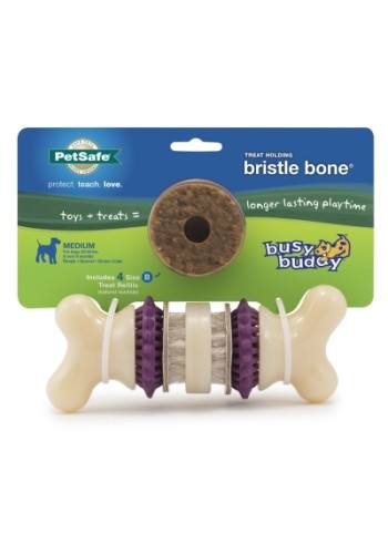 Busy Buddy Bristle Bone