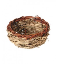 Canary Twig Nest