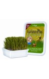 Cat Grass Plus Tub