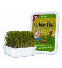 Cat Grass Plus Tub