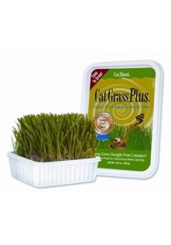 Cat Grass Plus Tub