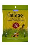 Cat Grass