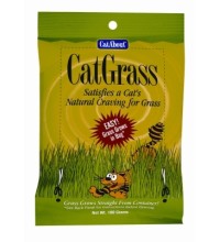 Cat Grass