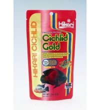 Cichlid Gold